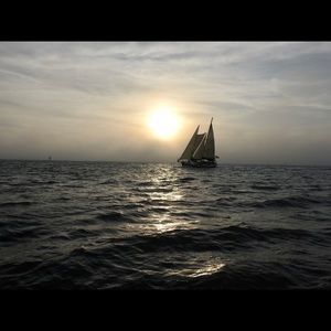 Meet your Posher, Peter